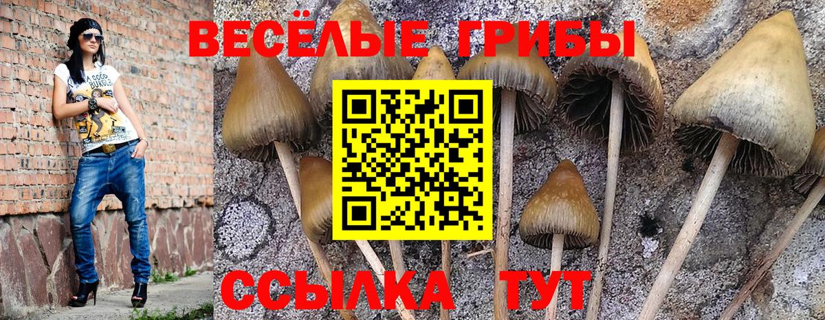 Псилоцибиновые грибы ЛСД Краснотурьинск