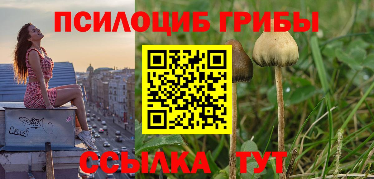Галлюциногенные грибы мицелий  Вход с VPN  Краснотурьинск  Галлюциногенные грибы GOLDEN TEACHER 